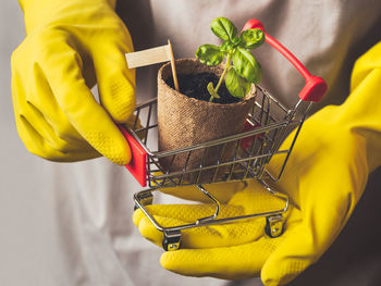 Man in yellow rubber gloves holds shopping cart with basil seedling. spring sale in flower shops.