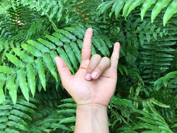 Cropped hand gesturing horn sign against leaves