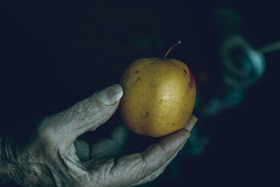 Cropped hand of man holding apple