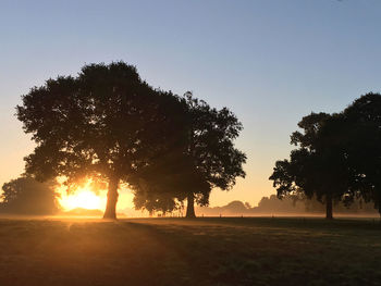 Silhouette trees on field against clear sky during sunset