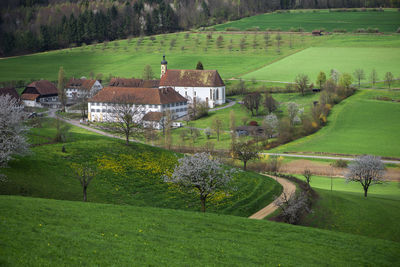 Scenic view of field by trees and houses