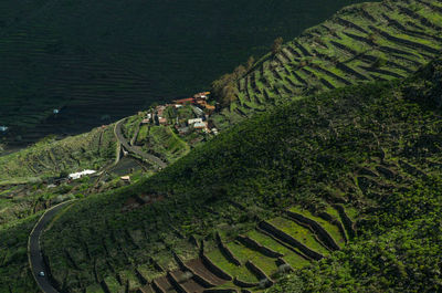High angle view of agricultural field