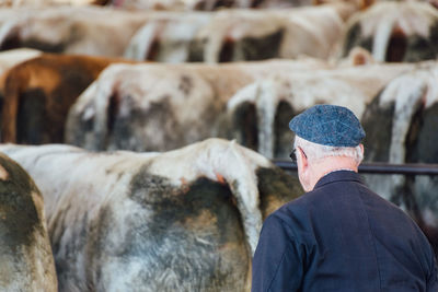 Rear view of senior man standing at farm