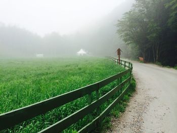 Empty road on grassy field during foggy weather