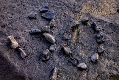 High angle view of a rock