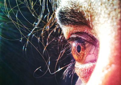 Cropped image of woman eye