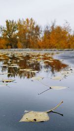 Reflection of trees in lake against sky during autumn