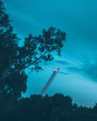 Low angle view of trees against blue sky