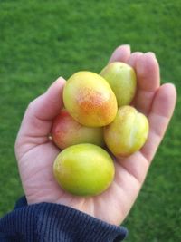 Close-up of hand holding fruits