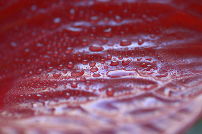 Full frame shot of raindrops on leaf