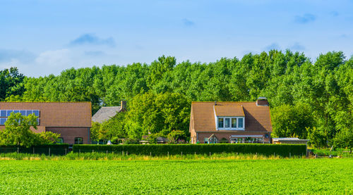 House on field by trees against sky