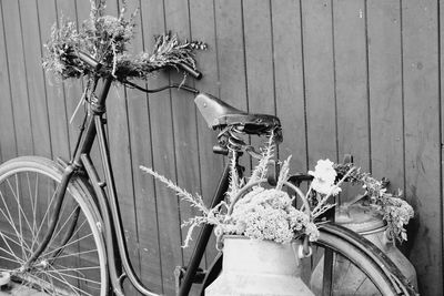 Close-up of bicycle on flower