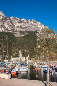 Sailboats moored at harbor against clear sky