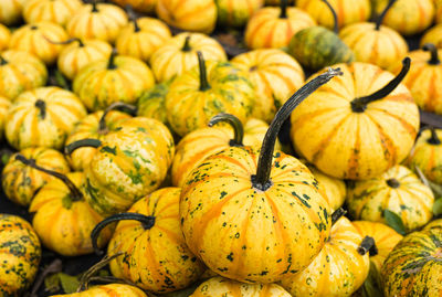 Full frame shot of pumpkins for sale at market stall