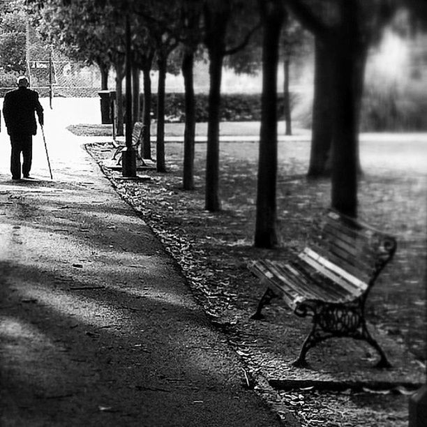 bench, lifestyles, leisure activity, tree, rear view, men, park bench, person, full length, walking, footpath, standing, sitting, tree trunk, park - man made space, chair, day, outdoors