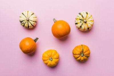 Directly above shot of fruits on white background