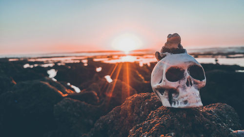 Close-up of rocks by sea against sky during sunset