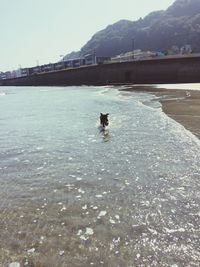 Woman in sea