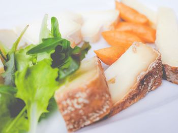 Close-up of food in plate