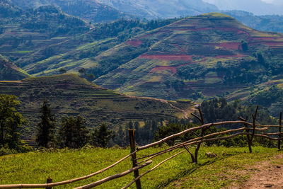 Scenic view of agricultural field against mountains