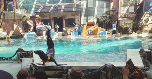 Low section of man swimming in pool