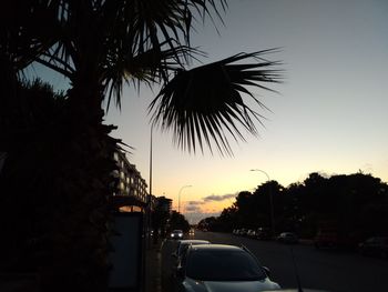 Silhouette palm trees by street against sky during sunset