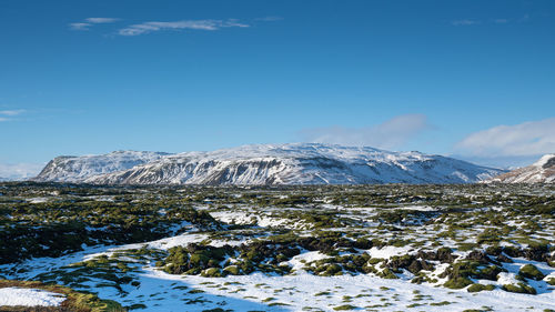 Panoramic image of the lava field of skaftareldahraun, winter in iceland, europe