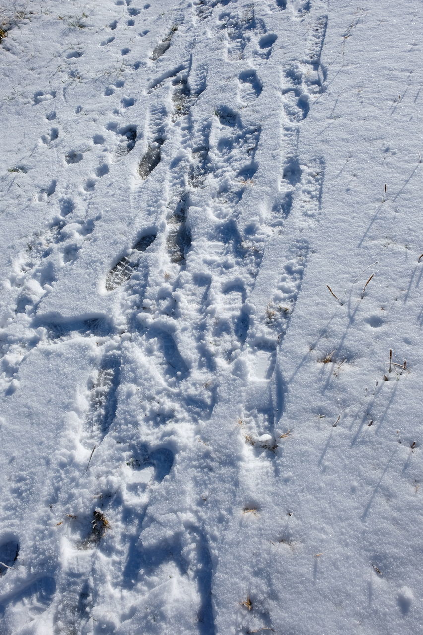 HIGH ANGLE VIEW OF FOOTPRINT ON SNOW COVERED LAND