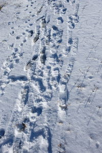 High angle view of footprints on snow covered land