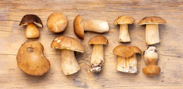 Close-up of mushrooms on wooden table