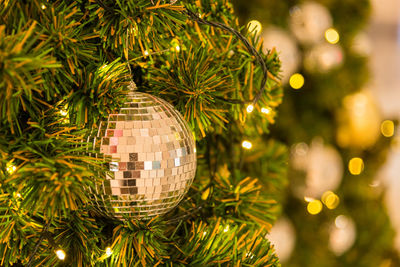 Close-up of illuminated christmas tree