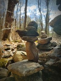 Close-up of stone in forest