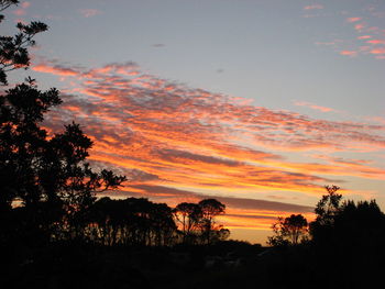 Silhouette trees against dramatic sky during sunset