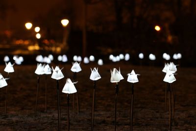 Illuminated lanterns hanging on clothesline at night