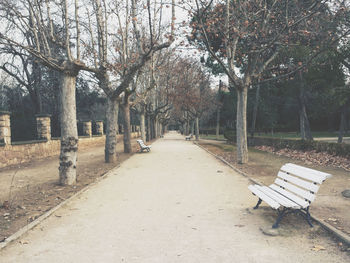 Empty road with trees in background