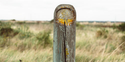 Close-up of wooden post on field