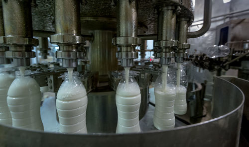 Close-up of wine bottles filled with milk on machinery