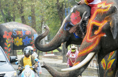 Elephant with ceremonial make-up on street