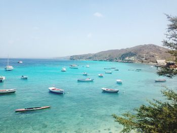 Boats in sea