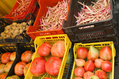 Fresh red tomatoes and beans for sale at organic market