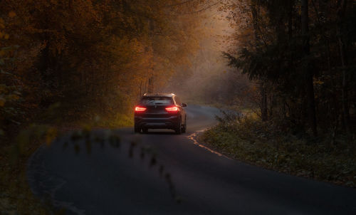 Car on road in forest