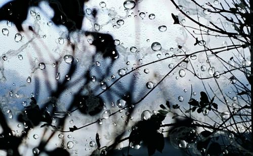 Full frame shot of raindrops on windshield