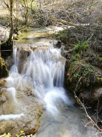 Scenic view of waterfall in forest