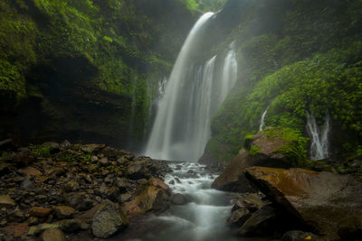 Scenic view of waterfall in forest