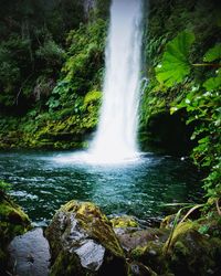 View of waterfall in forest