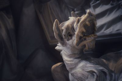 Close-up of a dog relaxing on bed