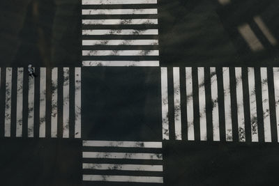 High angle view of zebra crossings in city