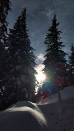 Trees on snow covered field against sky