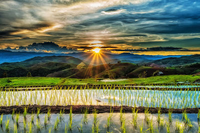 Scenic view of agricultural landscape against sky during sunset