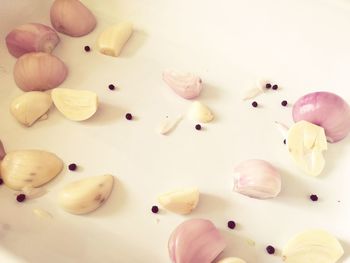 High angle view of multi colored candies